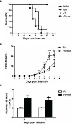 Impact of Galectin-Receptor Interactions on Liver Pathology During the Erythrocytic Stage of Plasmodium berghei Malaria